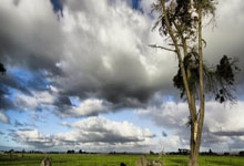 开云体育平台APP-印第安纳暗夜中的新星：无名新秀横空出世，步行者黑马狂奔直捣西部前列！