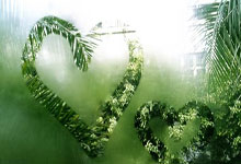 开云体育登录-暗夜磨刃！东莞天狮激战非洲劲旅，欧陆烽火前夜的淬炼与野望