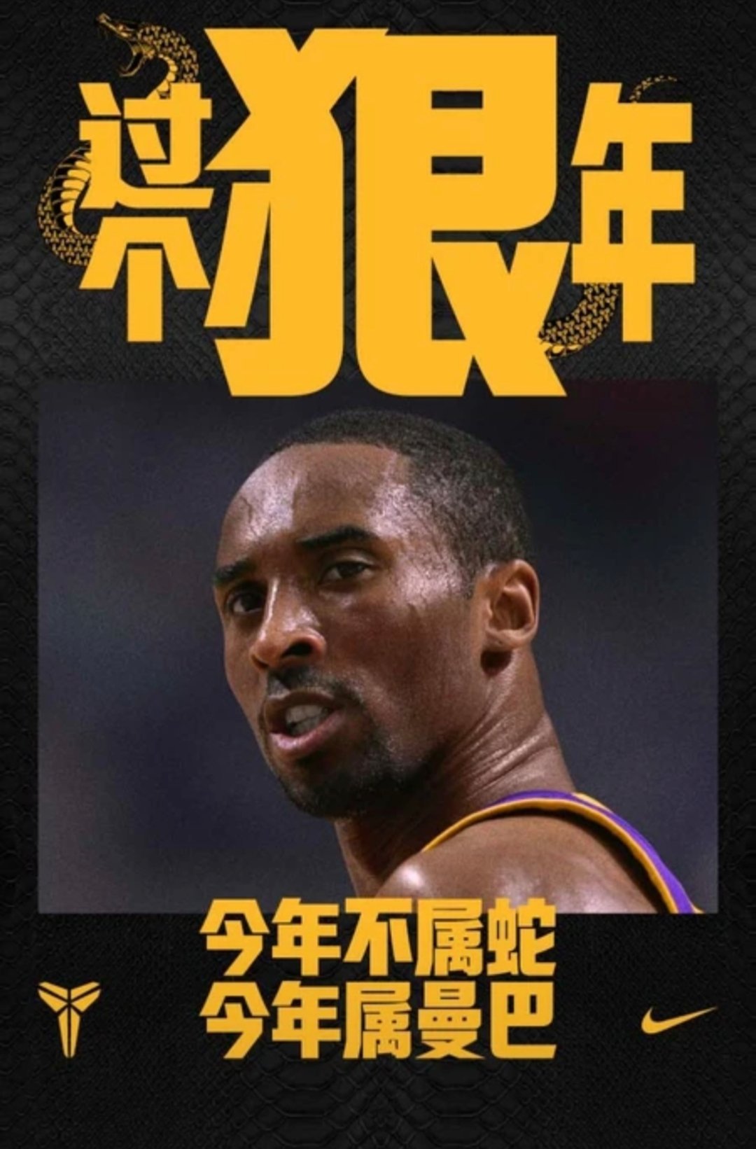 猛龙大胜，开拓者遇阻之战失利