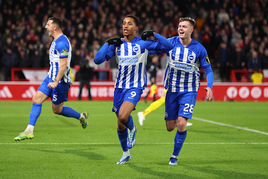 开云体育在线-布莱顿主场完胜，英超保级形势向好的简单介绍