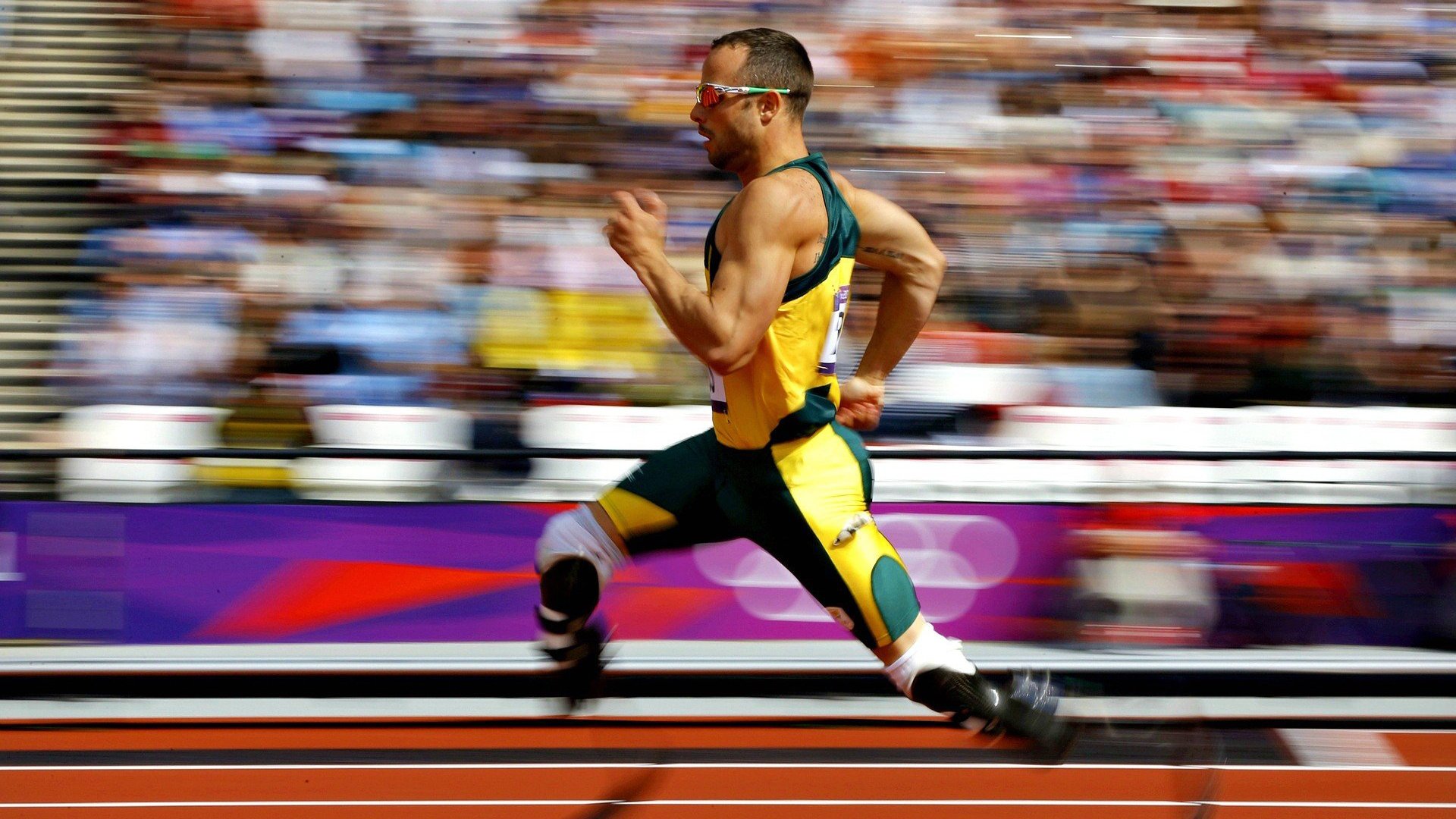 单节定乾坤,魔术拉开勇士,福克斯德甲争冠战接管