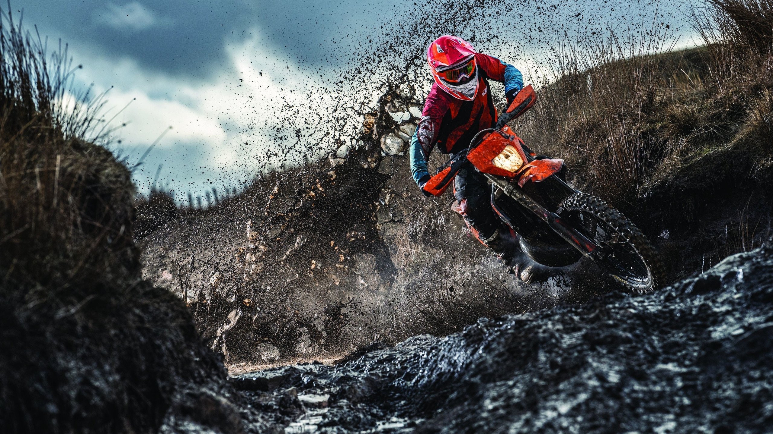 F1街道赛焦点战启示录，骑士如赛车般冲刺加时取胜灰熊